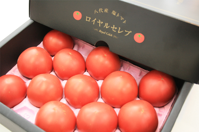 【2019年ふるさと納税】ふるさとチョイスさんに聞いたオススメ返礼品45選! 八代産 はちべえ 塩トマト「ロイヤルセレブ」