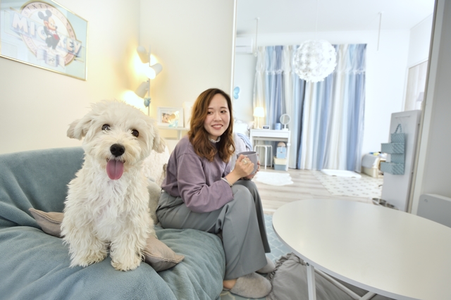 犬との暮らし 愛犬のいたずらを防ぎながら おしゃれ部屋を実現するアイデア Chintai情報局