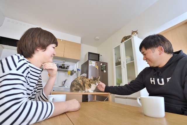 【猫との暮らし】中村さんと猫2匹