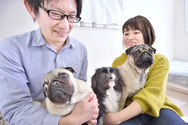 【賃貸で犬を多頭飼い】ゆておさんとさいさんと犬3頭