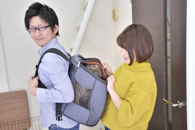 【賃貸で犬を多頭飼い】ゆておさんとさいさんと犬3頭