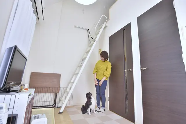 【賃貸で犬を多頭飼い】ロフト付きのペット可物件