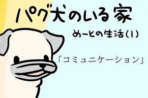 パグ犬のいる家・めーとの生活「コミュニケーション」