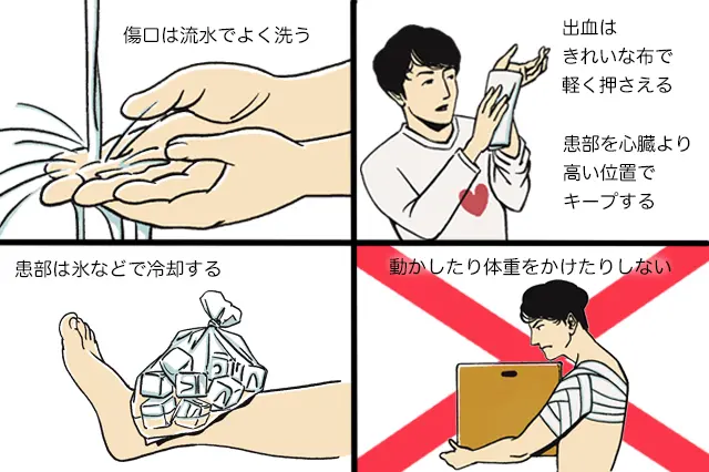 【一人暮らしビギナー向け医療コラム】地震や台風などの災害対策や備え 怪我の応急処置