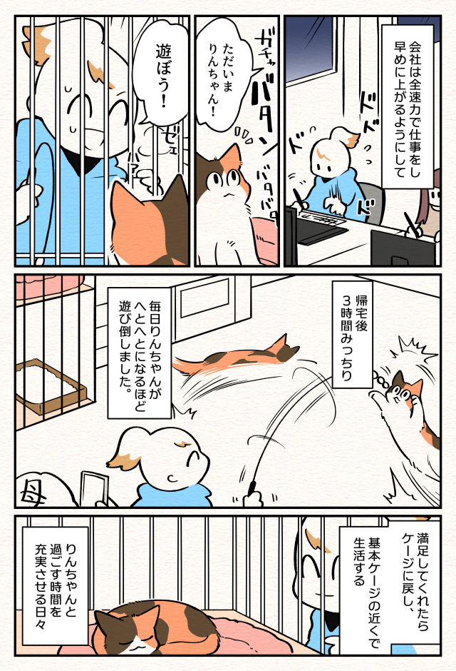 【ねこ部屋暮らし】第二話『半個室ねこトイレを作った話』3ページめ