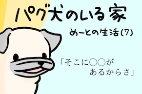 めーとの生活（7）「そこに〇〇があるからさ」