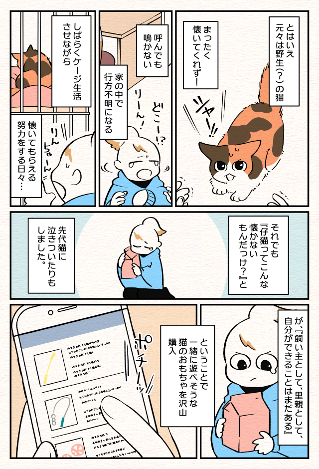 【ねこ部屋暮らし】第二話『半個室ねこトイレを作った話』2ページめ
