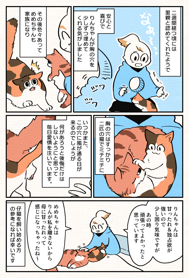 【ねこ部屋暮らし】第二話『半個室ねこトイレを作った話』4ページめ