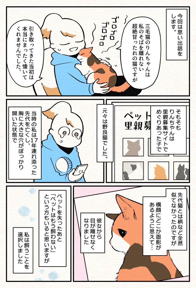 【ねこ部屋暮らし】第二話『半個室ねこトイレを作った話』1ページめ