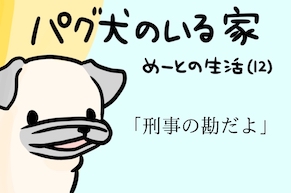 【パグ犬のいる家】めーとの生活（12）「刑事の勘だよ」