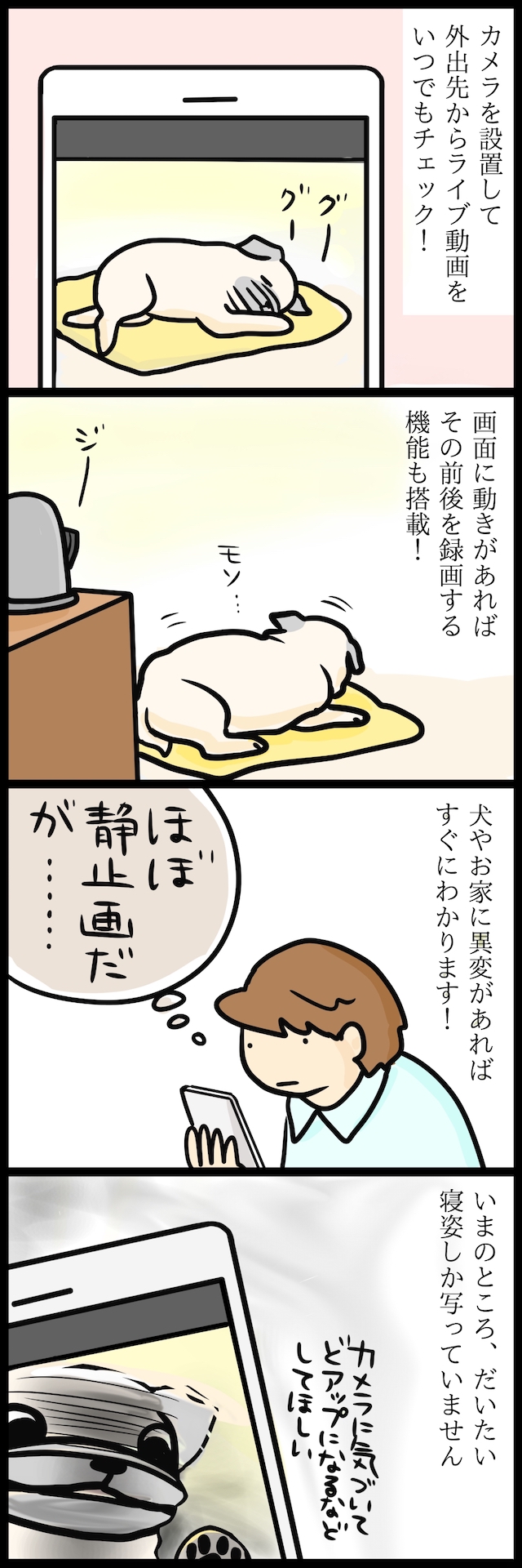 【パグ犬のいる家】めーとの生活(10)「お留守番」2ページ目