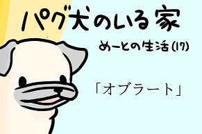 【パグ犬のいる家】めーとの生活（17）「オブラート」