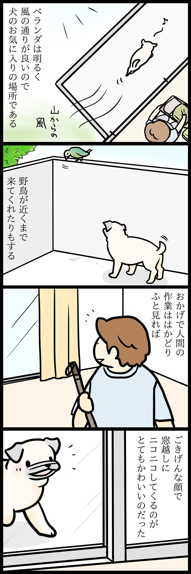 【パグ犬のいる家】めーとの生活(15)「放牧」