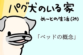 【パグ犬のいる家】めーとの生活（24）「ベッドの概念」