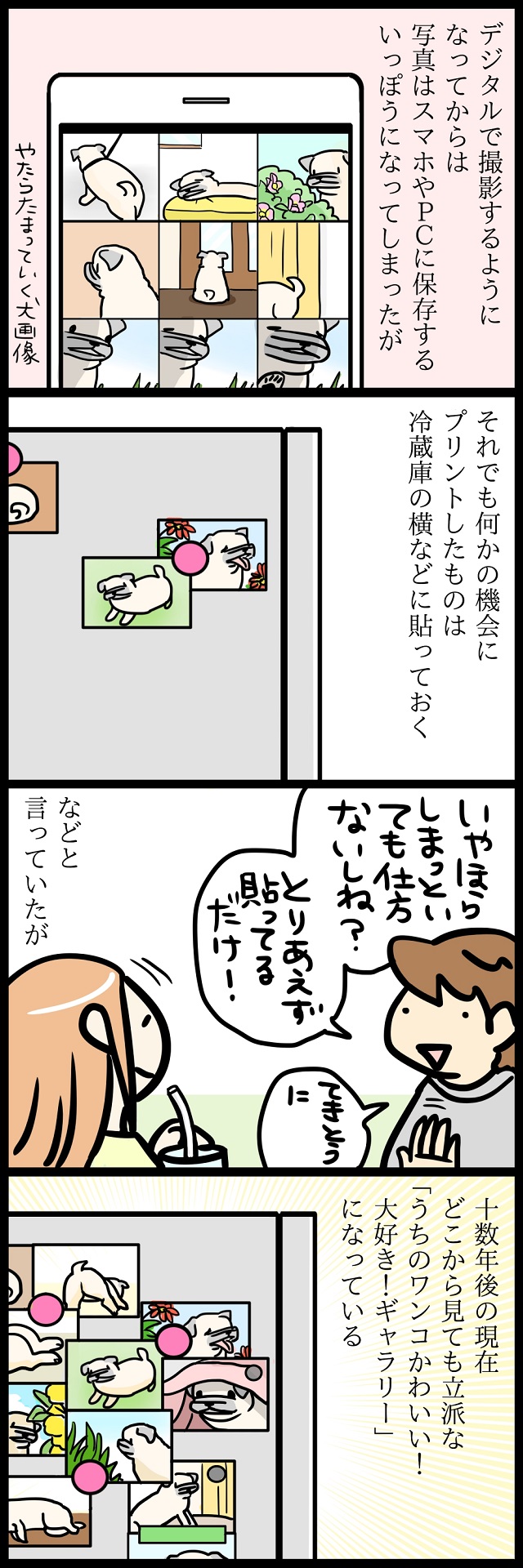 【パグ犬のいる家】めーとの生活(25)「取捨選択」
