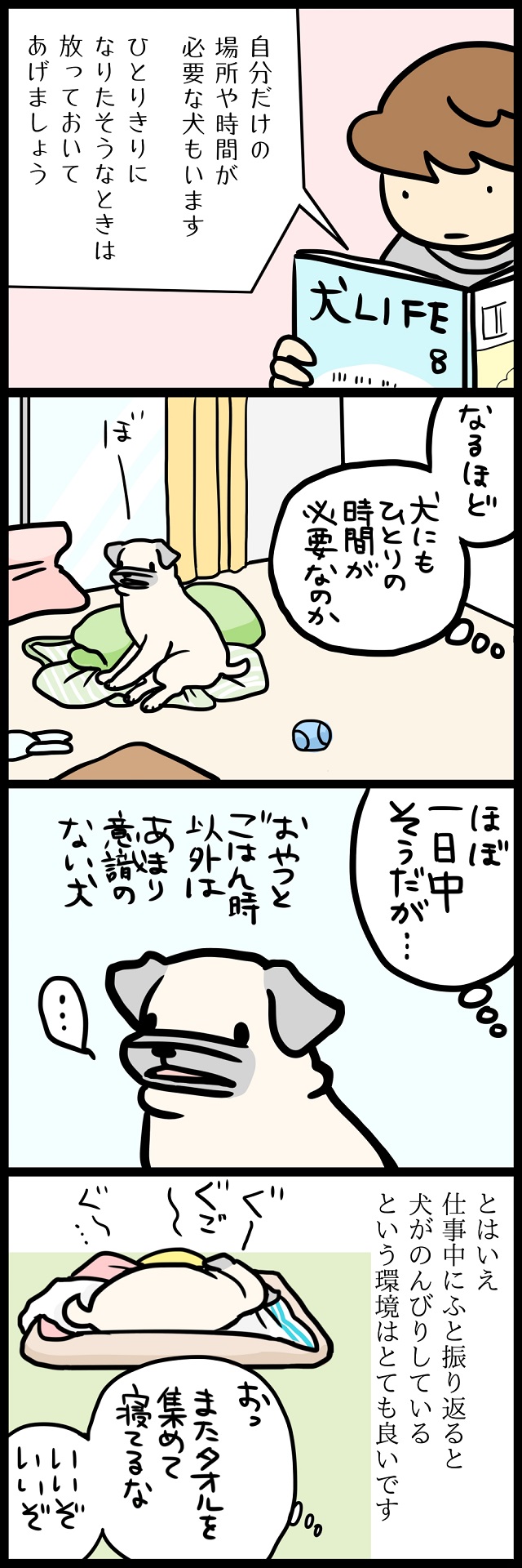 【パグ犬のいる家】めーとの生活(26)「在宅の友」