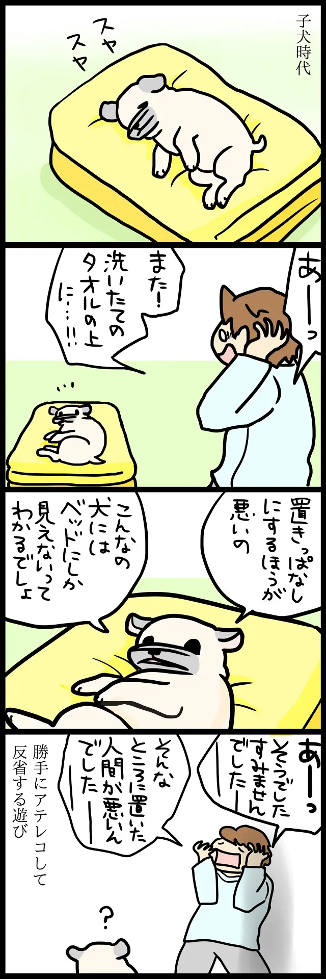 【パグ犬のいる家】めーとの生活(24)「ベッドの概念」