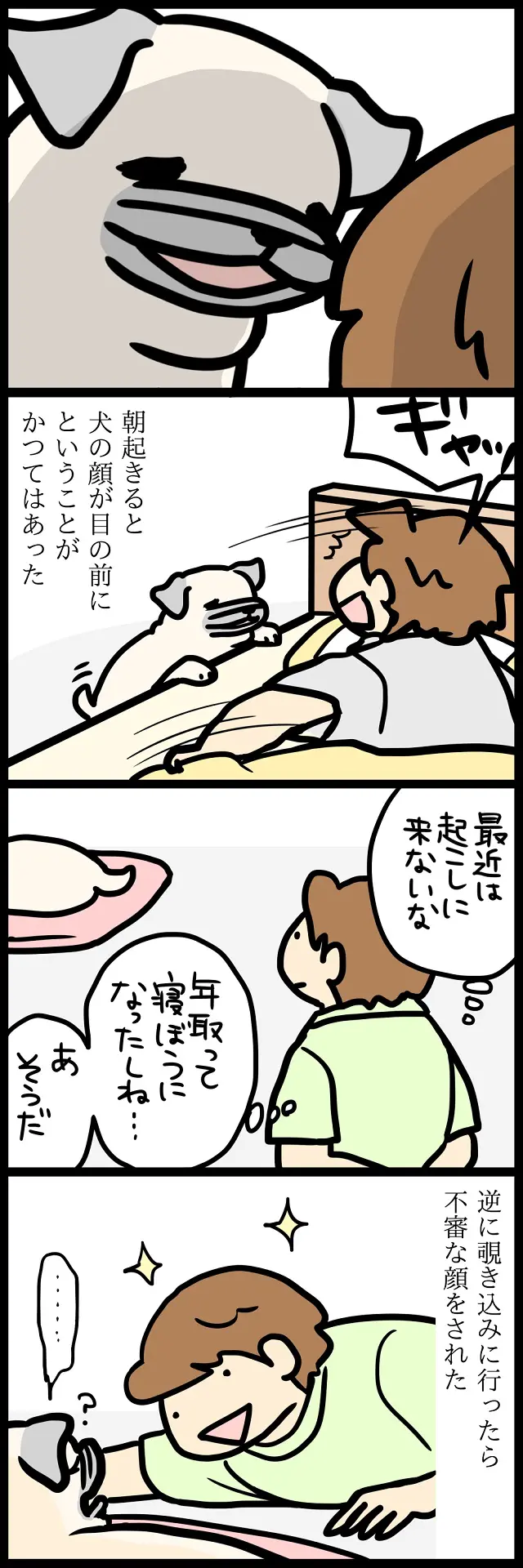 【パグ犬のいる家】めーとの生活(23)「寝起きドッキリ」