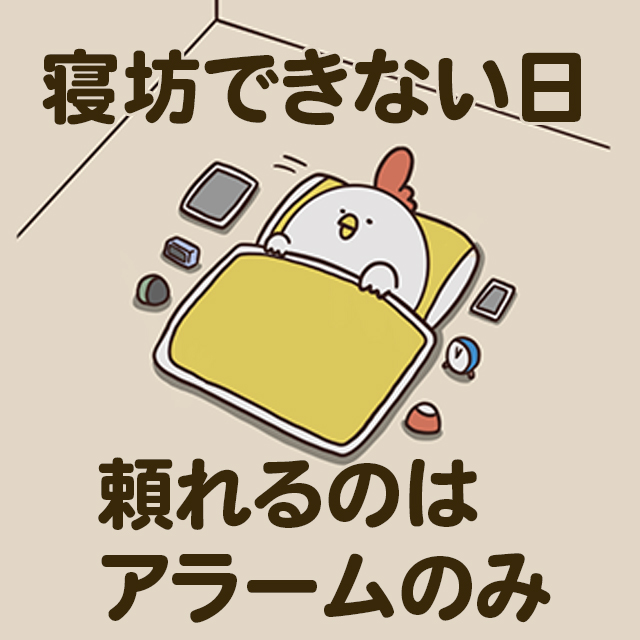 毎日でぶどり連載_でぶどりの暮らし第3回「寝坊できない日 頼れるのはアラームのみ」
