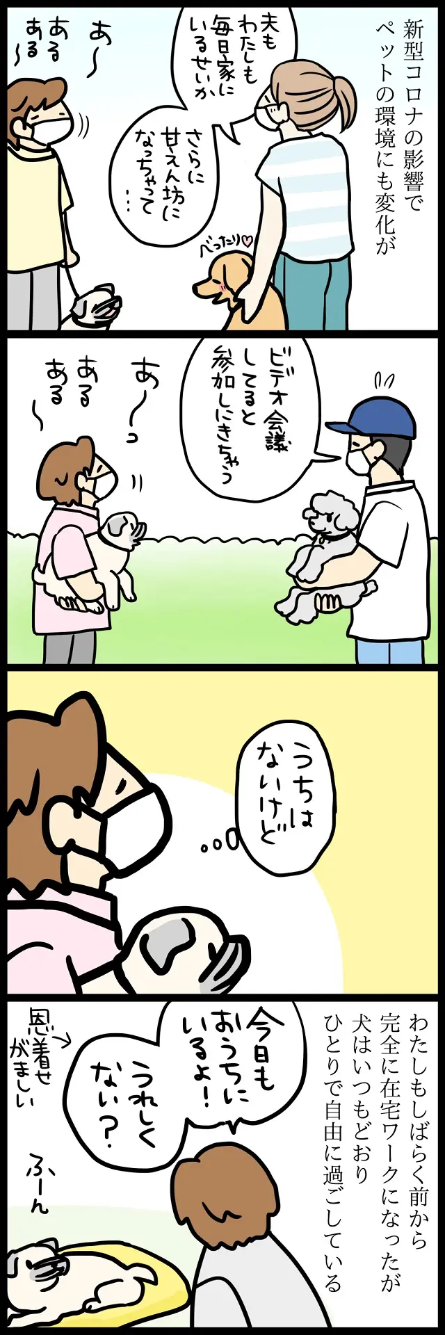 【パグ犬のいる家】めーとの生活(26)「在宅の友」