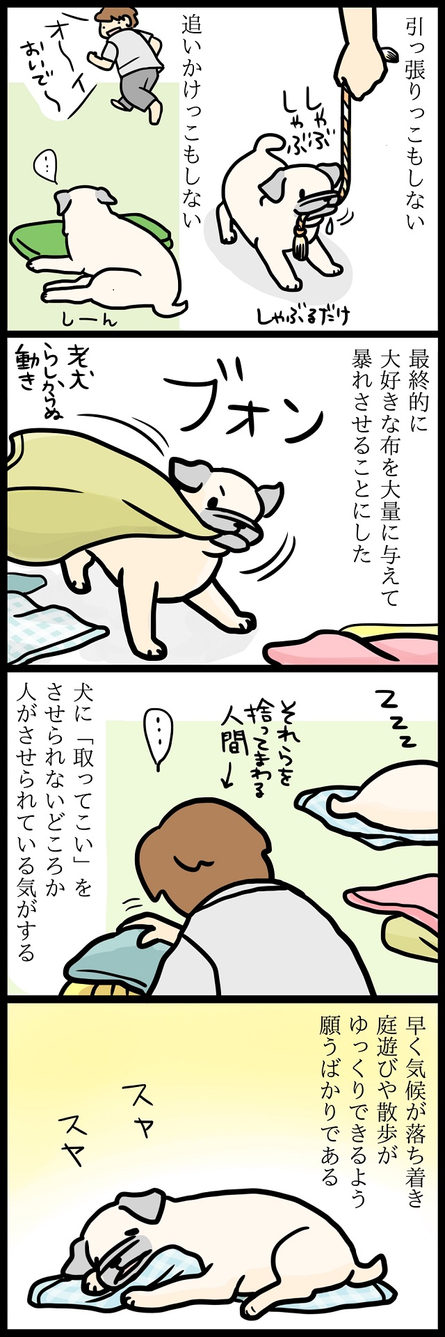 【パグ犬のいる家】めーとの生活(27)「エクササイズ」