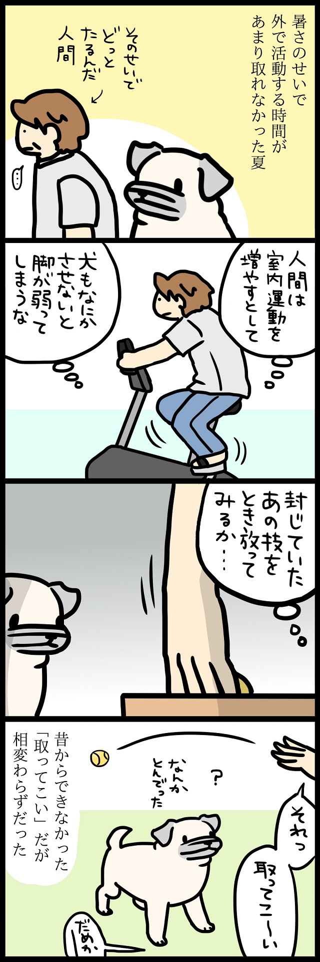 【パグ犬のいる家】めーとの生活(27)「エクササイズ」