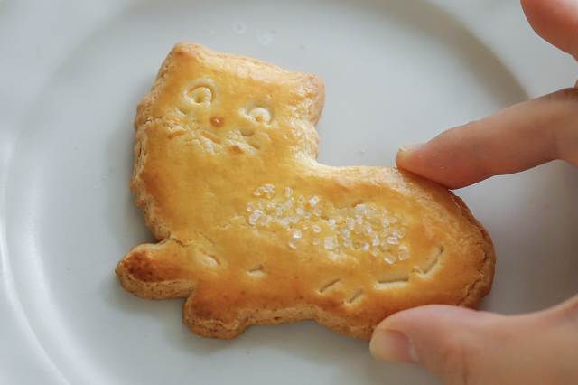 大人気ねこねこスイーツを食べ比べ!お取り寄せできる猫グルメ10選【食パン、チーズケーキだけじゃない!】 ネコサブレ