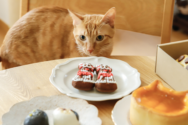 大人気ねこねこスイーツを食べ比べ!お取り寄せできる猫グルメ10選【食パン、チーズケーキだけじゃない!】 猫グルメと猫