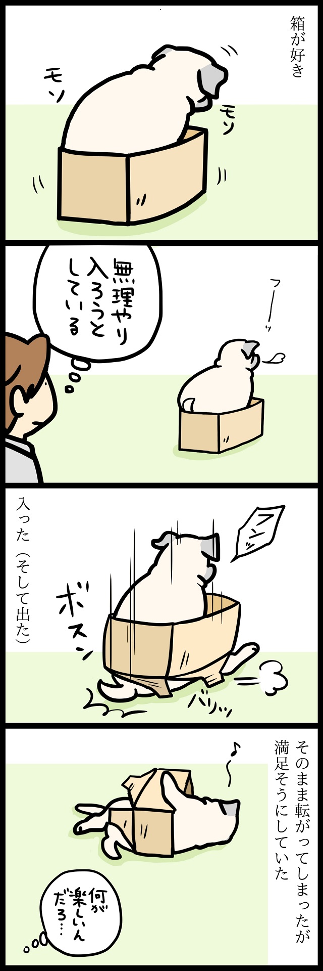 【パグ犬のいる家】めーとの生活(28)「ワンルーム」