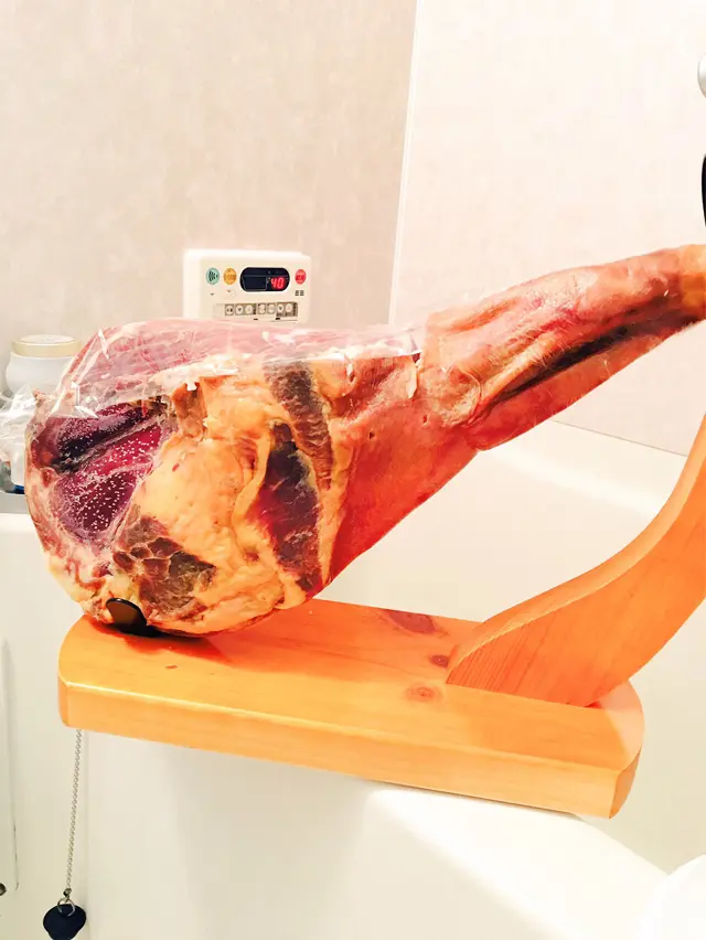 【おもいでの部屋】生ハムと暮らした愉快なマンション|しぬこ 生ハムの原木とお風呂に入っている写真
