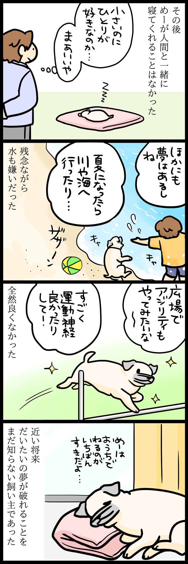 【パグ犬のいる家】めーとの生活(33)「期待と裏切り」