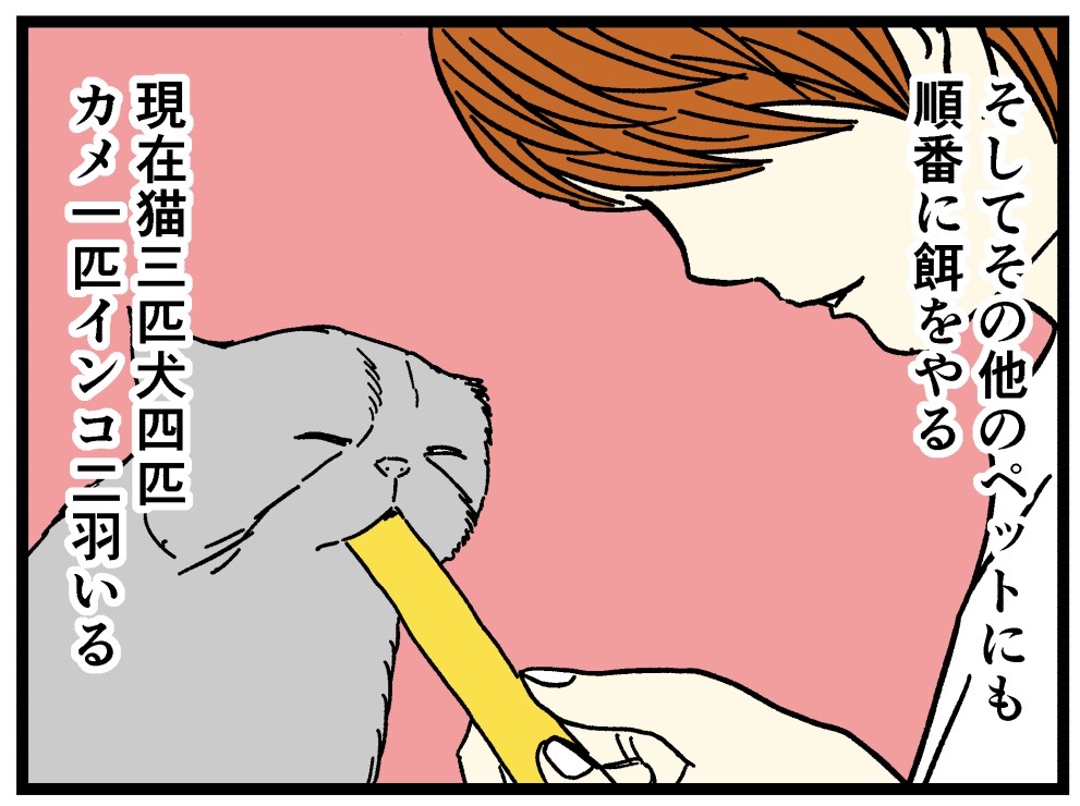 モーニングルーティン5