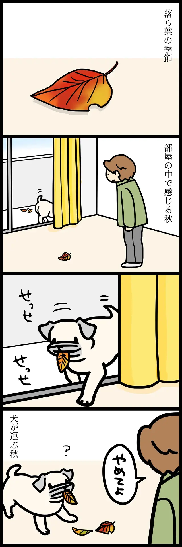 【パグ犬のいる家】めーとの生活(35)「小さい秋」
