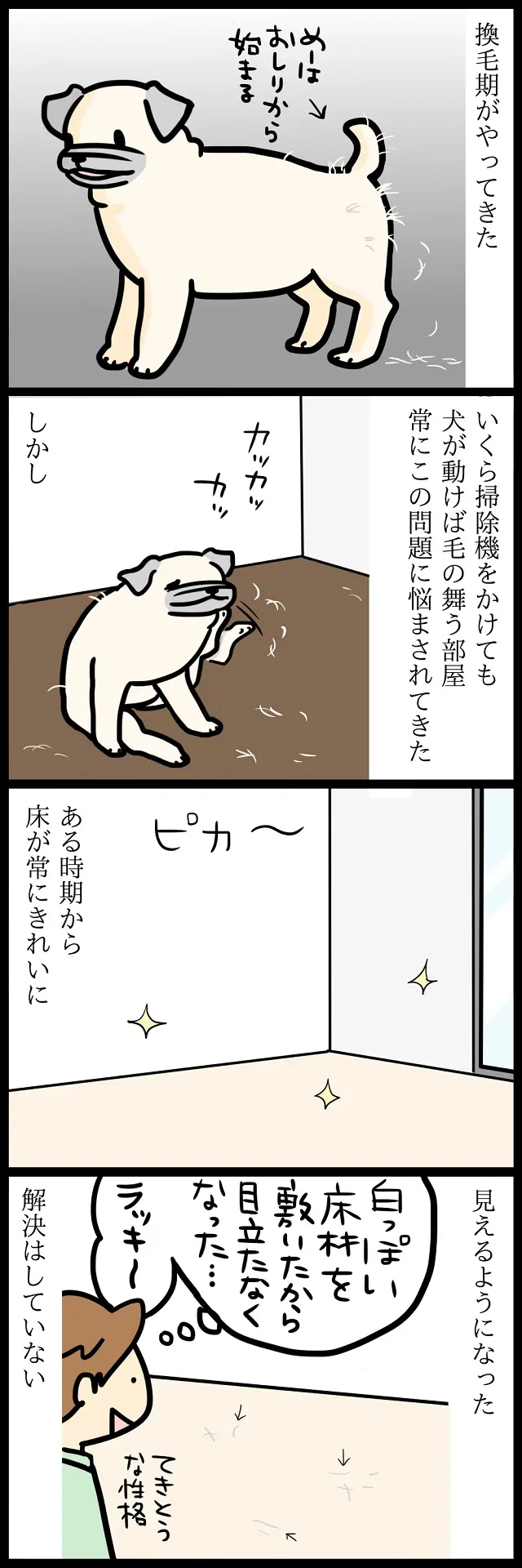 【パグ犬のいる家】めーとの生活(32)「秋の風物詩」