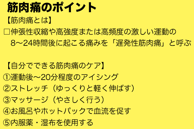 【一人暮らしビギナー向け医療コラム】筋トレや運動後の筋肉痛がひどい!原因や治し方を医師が解説
