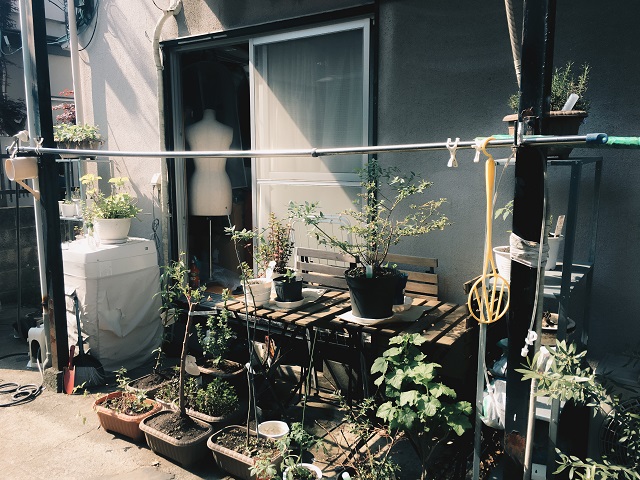 【思い出の部屋(仮)】はじめての東京、高円寺でのアトリエ暮らし。｜tsunekawa（クリームソーダ職人）アトリエの外には植物がたくさんあった