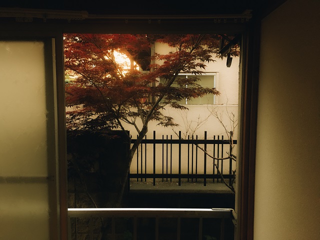 【思い出の部屋(仮)】はじめての東京、高円寺でのアトリエ暮らし。｜tsunekawa（クリームソーダ職人）夕方家の窓から見える景色