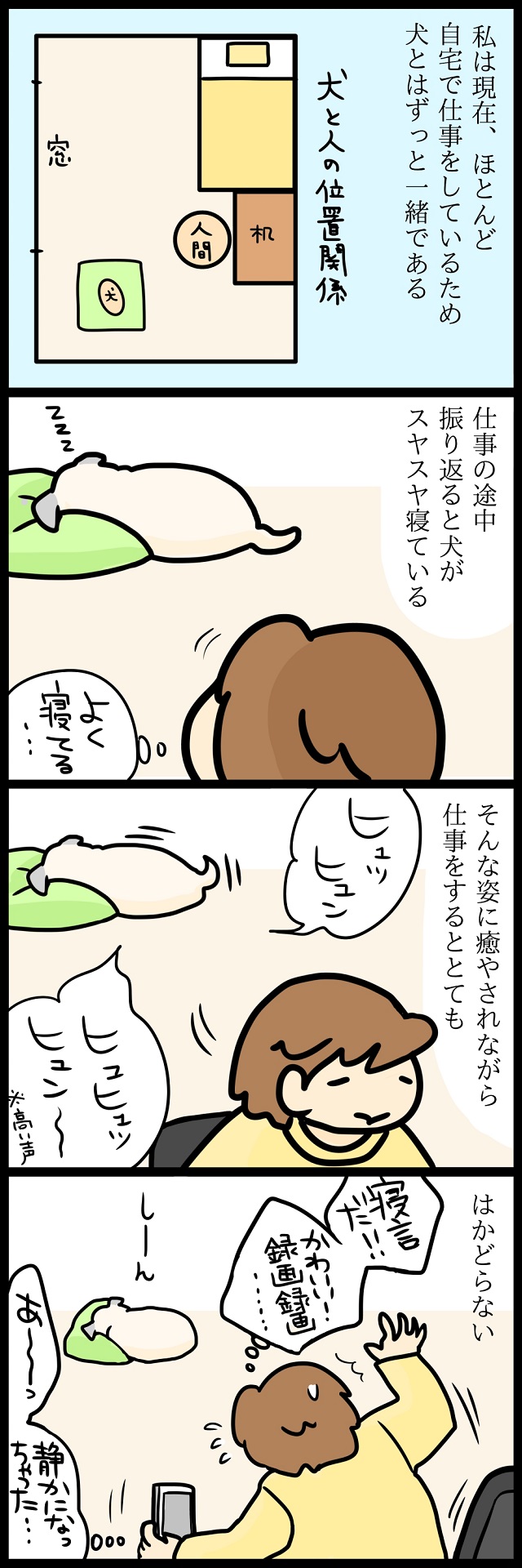【パグ犬のいる家】めーとの生活(34)「振り返ればパグがいる」