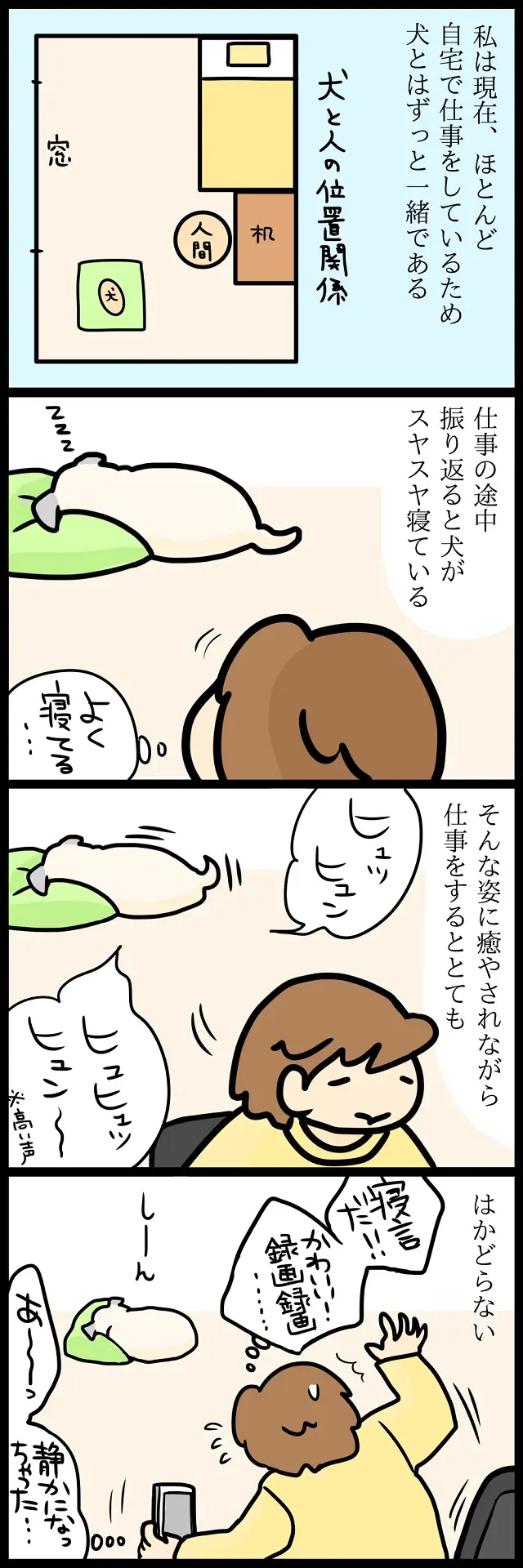【パグ犬のいる家】めーとの生活(34)「振り返ればパグがいる」