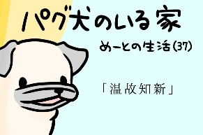 【パグ犬のいる家】めーとの生活（37）「温故知新」アイキャッチ