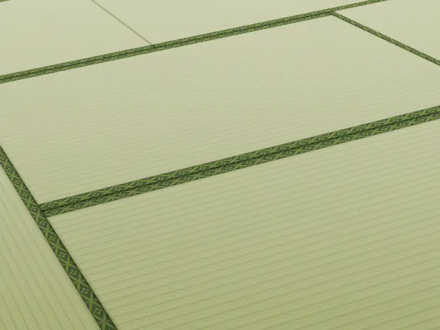 畳のイメージ