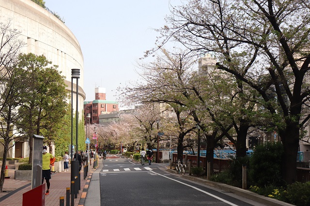 東急田園都市線・池尻大橋駅付近の目黒川緑道