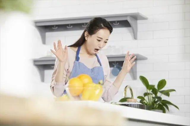 部屋 蜘蛛