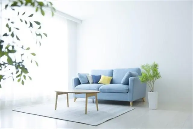 部屋 蜘蛛