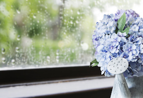 梅雨　洗濯物　生乾き　部屋干し臭