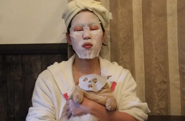 【業務田スー子のかんたんレシピ】フェイスパックをしながら猫を抱く業務田スー子さん
