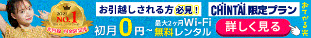 おてがる光CHINTAI限定プラン
