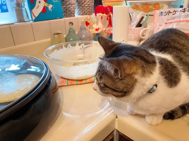 業務田スー子のかんたんレシピ_冷凍肉団子使い倒しレシピ_ホットケーキが気になるねこのみーちゃん