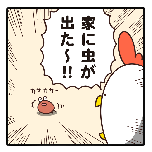 でぶどりの暮らし_家に虫出た_家にいる虫を見つけたでぶどり