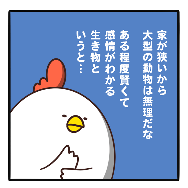 でぶどりの暮らし_ペット飼いたい_自分に合ったペットを考えるでぶどり
